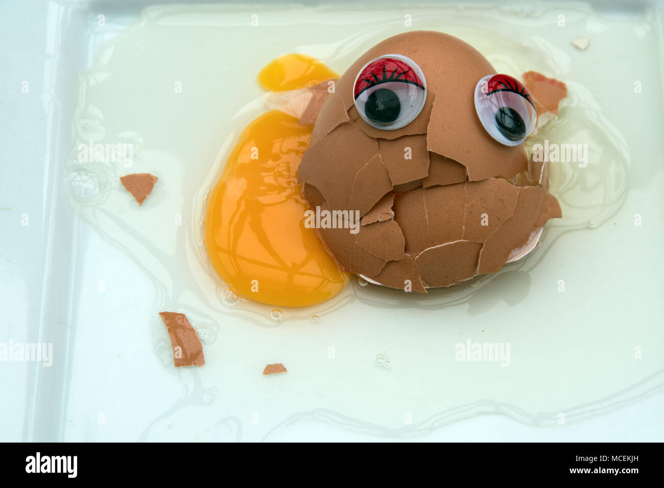 Immer noch leben. Gebrochene Eier mit Kulleraugen, ein Gesicht. Stockfoto