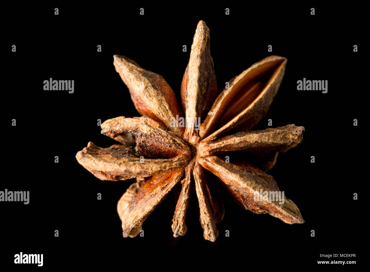 Sternanis, Illicium verum, gekauft von einem Supermarkt in Großbritannien. Sternanis ist beliebt in der asiatischen Küche und ist auch medizinisch genutzt. England UK GB Stockfoto