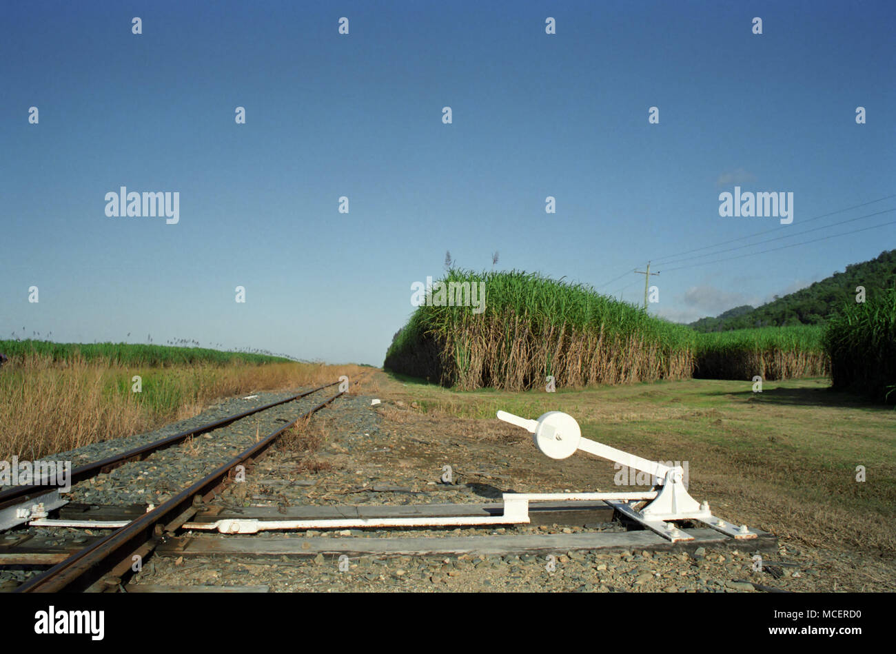 Punkte auf einer Zuckerrohr Bahn durch den Captain Cook Highway in der Nähe von Killaloe zwischen Mossman und Port Douglas, Far North Queensland, Australien Stockfoto
