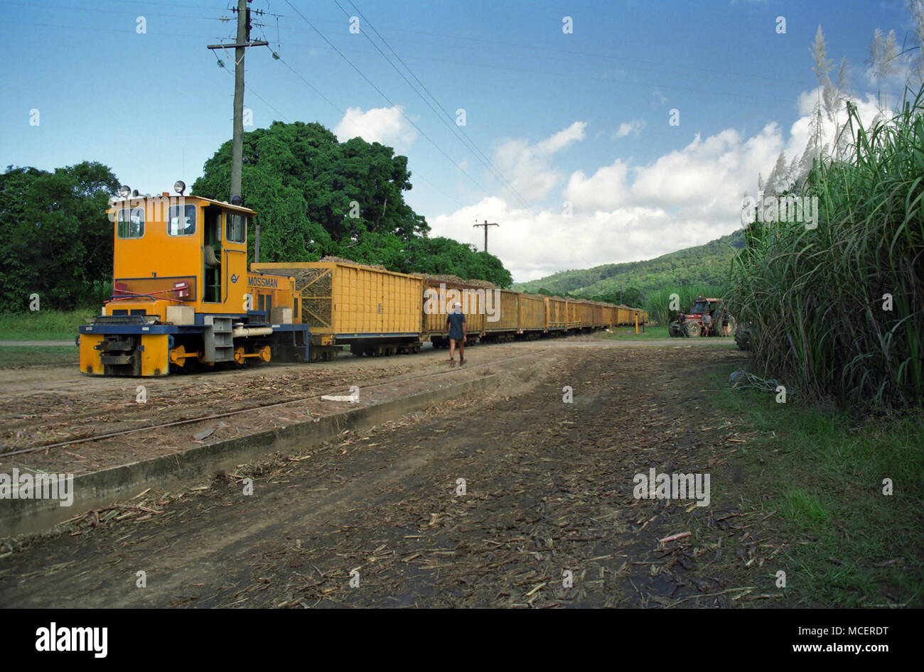 Zug auf einem Zuckerrohr Railway in der Nähe von Killaloe zwischen Mossman und Port Douglas, Far North Queensland, Australien Stockfoto
