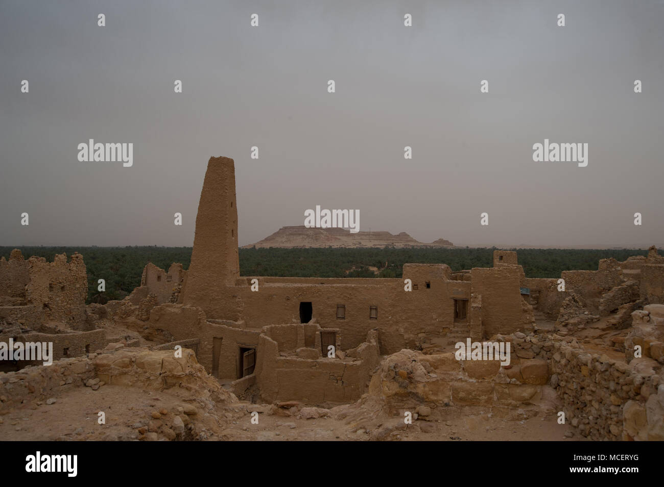 Oase Siwa, Ägypten Stockfoto Oase Siwa, Ägypten Stockfoto