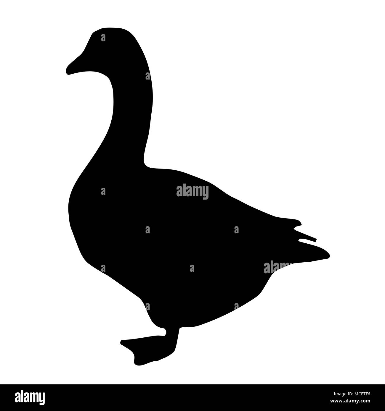 Schwarze silhouette Gans Vektor - Weißer Hintergrund Stock Vektor