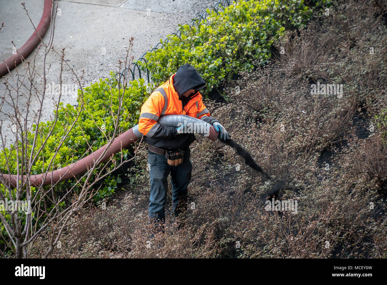 Arbeitnehmer Pumpe Mulch in die Pflanzungen am Eingang zu einem Wohnhaus in Chelsea in New York am Dienstag, 10. April 2018. (Â© Richard B. Levine) Stockfoto