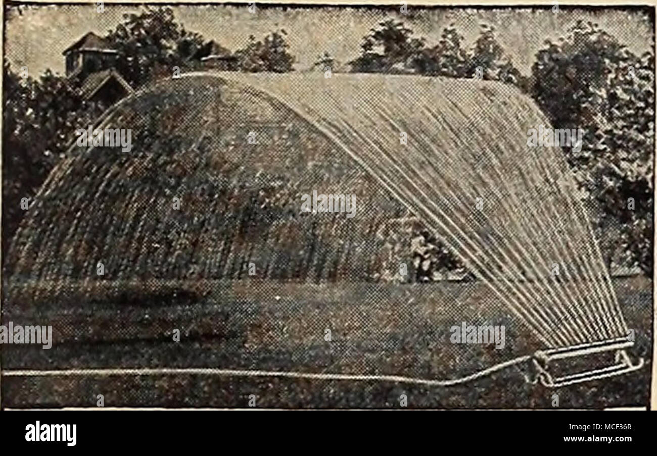. Waterfan. Ein echter Regen-Maschine zur Herstellung von 6 Liter Wasser pro Minute bei einem Druck von 30 kg Die 17 Düsen wird eine rechteckige Fläche von 30 x 45 m Wasser. Verteilt das Wasser sehr gleichmäßig. $ 16.00 Postpaid. Für beschreibende Rundschreiben senden. Mole fallen Traps werden über neu angelegte Burrows, die Bewegung der Nager unter re-Leasing der Mechanismus, der die Ergebnisse in die Erfassung von der Mole. Wenn die Fallen sind Gefederte Spitzen Stangen durch den Körper der Maulwurf angetrieben werden. Reddick Trap 1,25 $ Postpaid. Stenton Trap $ 2,00 Postpaid. Schere Acme Blumen sammeln. So "Clt&quo Stockfoto