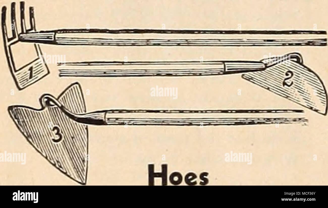 . Hacken Rechen und Hacke. (Abb. 1), 4 Zähne $ 1,15; 6 Zähne 1,25 $. Half Moon. (Abb. 2), 4. $ 1,15; 5. SI.25; 6. S 1.30. Warren Hoe. (Abb. 3), für furrowing, Hacken, etc., 7. SI.35. Baby Warren Hoe. 4-in. Blade $ 1.10. Jäten, Hacken. (Abb. 5), 1 Punkt 90 c; 2 Punkte (Abb. 7), SI.00. Platz Hoe. (Abb. 6), 6. $ 1.15. Wenn Sie per E-Mail gesucht werden 15 c für Porto. Stockfoto