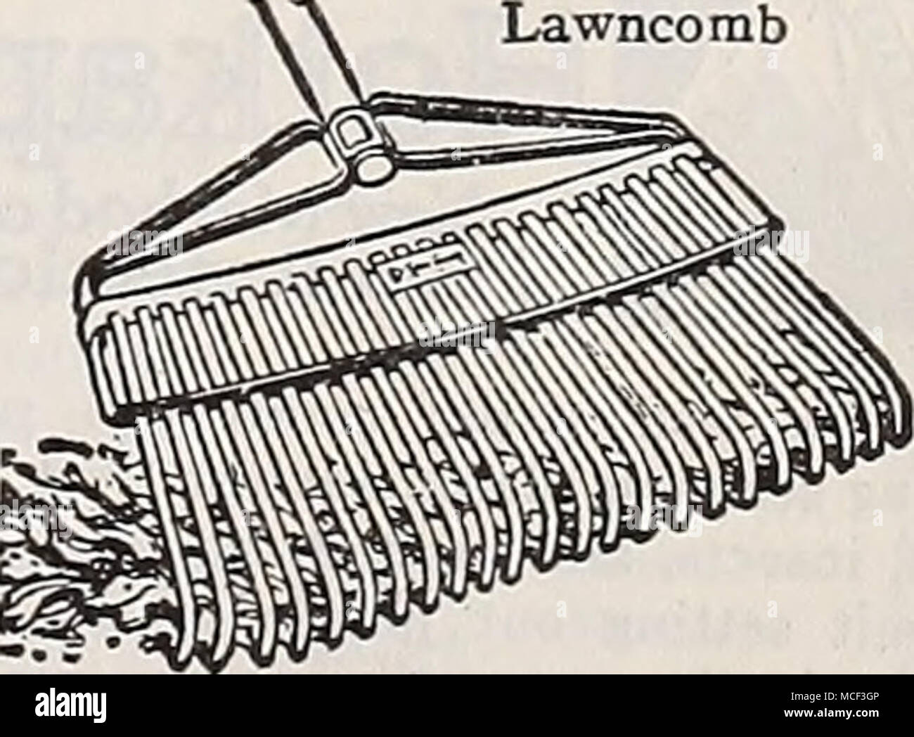 . Lawncomb. Flachstahl Zähnen und einem Stück Stahl. Kämme der Rasen der kleinsten Teilchen. 18-incb Kopf $ 1,25; 24-Zoll Kopf 1,75 $. Für den Garten harken finden Sie auf Seite 118. Den Rasen regelmäßig. Nutzen Sie die beispiellosen Dreer Rasen Dünger, siehe Seite 121. 115 Stockfoto