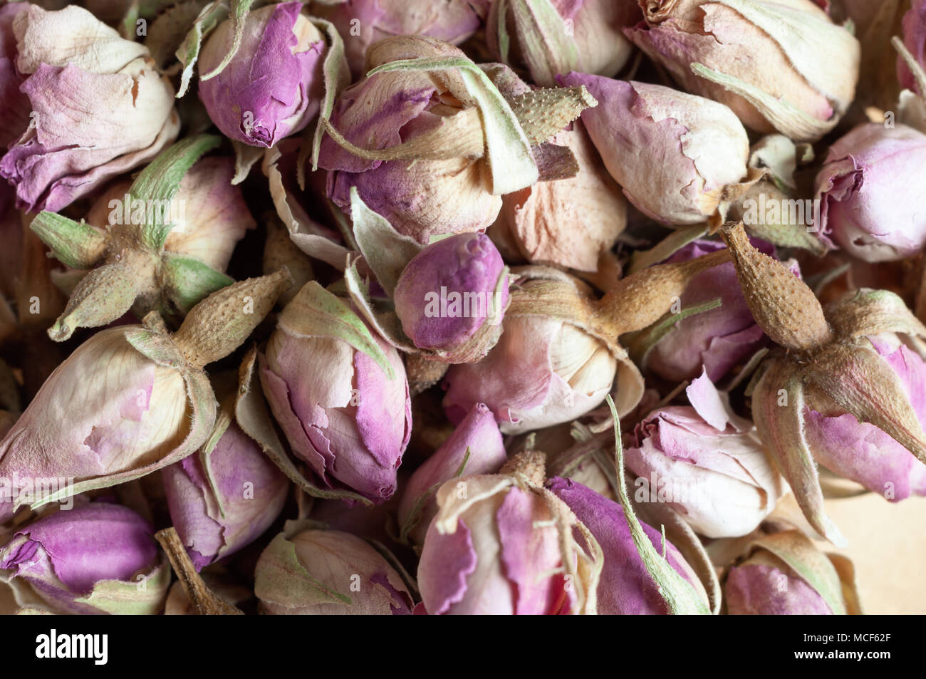 In der Nähe von kleinen, getrocknete Rosa rosebuds bilden einen duftenden Potpourri Hintergrund. Stockfoto
