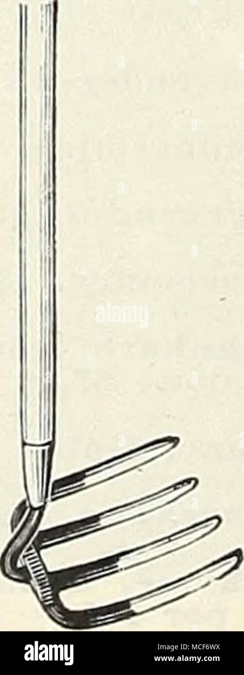 . Hoes Kartoffel Hacke oder Gülle ziehen Sie hacken. Abb. 1, 4 Zähne Harke 90 cts.; 6 Zähne, Abb. 2, Half Moon, 4 in.. 90 cts.; 5 in., 95 cts.; 6.,." BLOO; 7 in.,.-Id.-OS; 8 in der Schweine. 2, Warren, 7 in., $ 1,00; 7% in Baby Warren Hacken, kurzer Griff, 41/2 in. Blade, 50 cts.; mit 4 ft. handle. Abb. 4, Handgemenge, gestanzt Stahl, 5 in., 50 cts.; 6 in., 55 cts.; 7 in., 60 cts.; 9 in., 75 cts.; Griff extra Handgemenge Hacken, Stahl geschmiedet, 5 in., 75 cts.; 6 in., 75 cts.; 7 in., 80 cts.; 9., $ 1.10; Griffe extra Schwein. 5, Garten, 1 Punkt, 60 cts.; 2 Punkt. Abb. 7 Abb. 6, Quadrat, 6 in., 90 cts.; 7 in., 95 cts.; 8. G Stockfoto