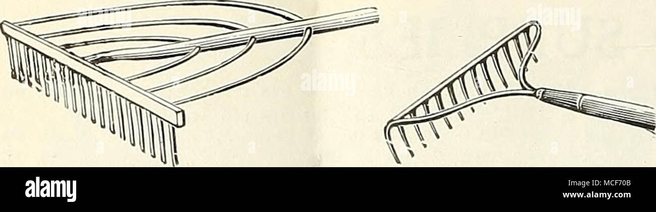 . Ames Rake Stahl Bogen Rechen Rechen. Ames, Holz mit 3 Stahl Bogen 1 $ 23 Garten, gerade Stahl. 10 Zähne, 75 cts.; 12 Zähne, 85 cts.; 14 Zähne, 90 cts.; 16 Zähne 1 00 Garten, Bug Stahl, 12 Zähne, $ 1,00; 14 Zähne, $ 1.10; 16 Zähne 1 20 Sensen. Englisch, genietet, zurück, 30 und 32 in., $ 2,75; 34 in., $ 3,00; 36 in., $ 3,25; 38 in 3 50 amerikanischen, $ 2.00; schwere Bush, kurze Klinge 2 00 Scythe Steine. Englisch Talacre, 30 cts.; Darby, 20 cts.; Karborund 30 Scythe Snath oder Griff 1 50 Scheren, Hand beschneiden. Erste Qualität, 9 Zoll... 2 50 zweite Qualität, 9 Zoll 1 2.5 Dreer, 9 Zoll, 1,75 $; pro Doz 18 00 P Stockfoto