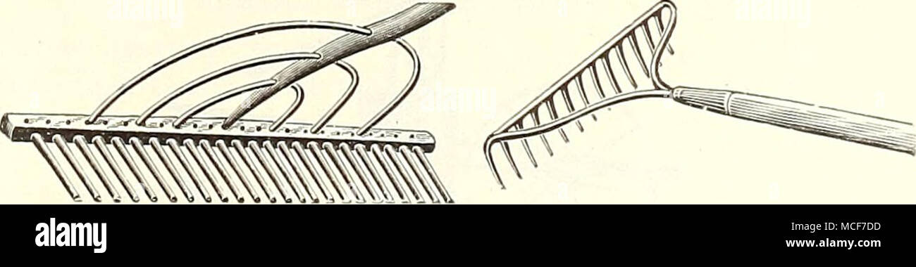 . Ames Rake Stahl Bogen Rechen Rechen. Ames, Holz mit 3 Stahl Bogen $ l 15 Garten, gerade Stahl, 10 Zähne, 75 cts.; 12 Zähne. Also cts.; 14 Zähne, 90 cts.; 16 Zähne. ... 95 Garten, Bug Stahl, 12 Zähne, 80 cts.; 14 Zähne 90 cts.; 16 Zähne l00 Sensen. Englisch, genietet, zurück, 30 und 32 in.. $ 2,75; 34 in., $ 3,00; 36 in., $ 3,00; 38 in 3 25 American, $ 2.0O; schwere Bush, kurze Klinge 2 00 Scythe Steine. Englisch Talacre, 30 cts.; Darby. 20 cts.; Karborund 30 Scythe Snath oder Griff T46 Stockfoto