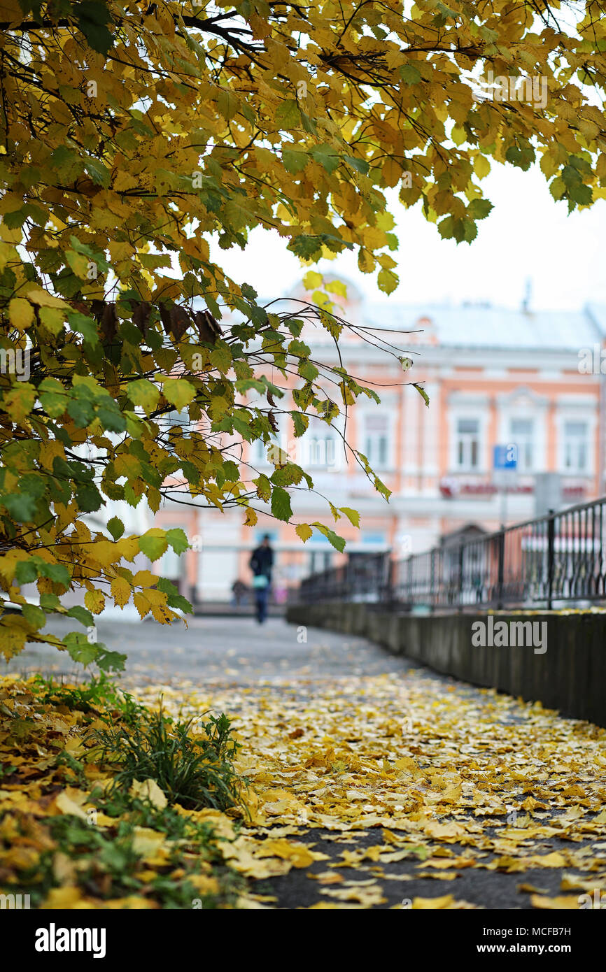 Herbst Landschaft. Die Blätter von den Bäumen in der Stadt. Aut Stockfoto