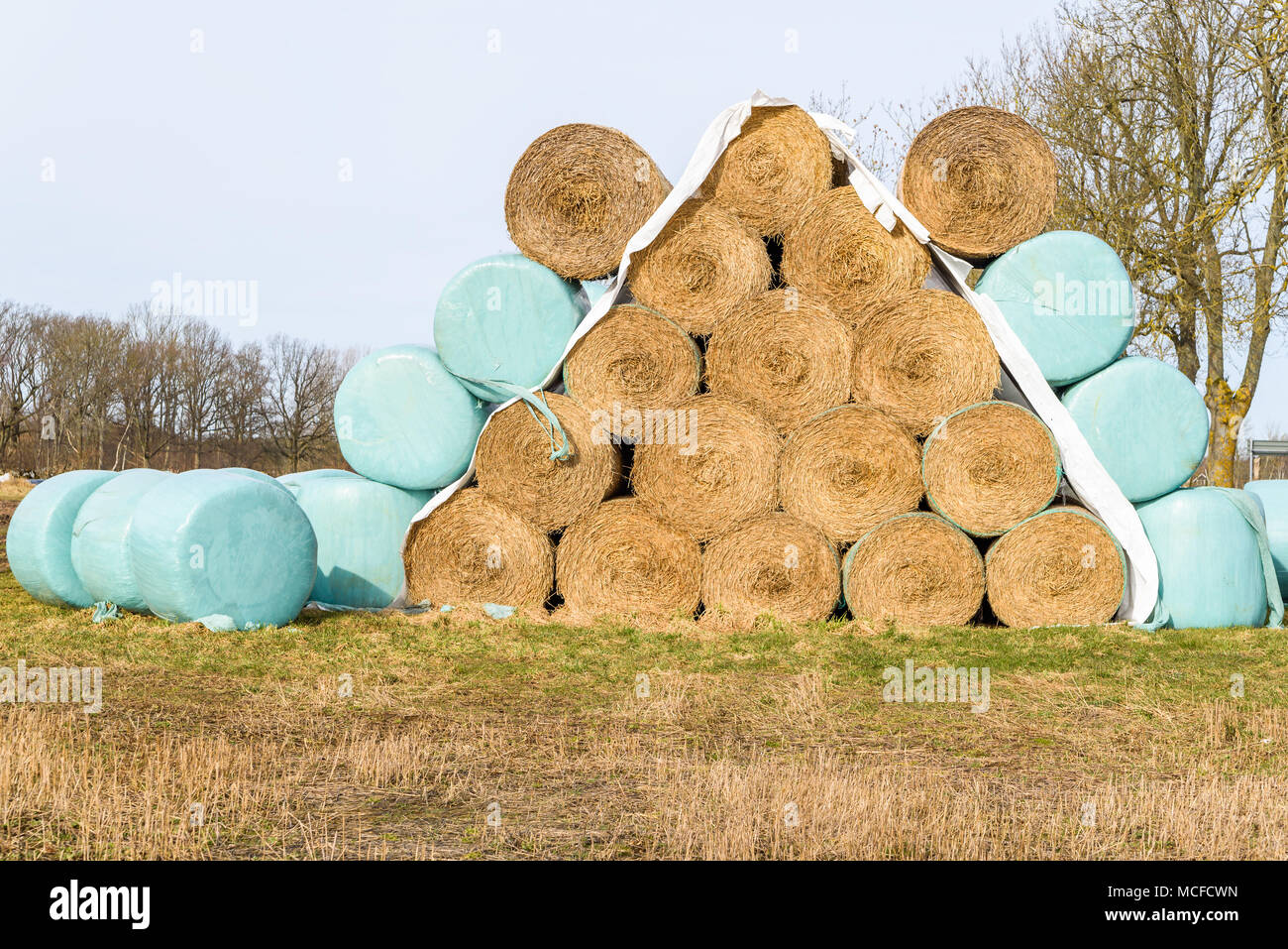 Pyramide Stapel golden Strohballen, mit und ohne Deckel aus Kunststoff. Stockfoto