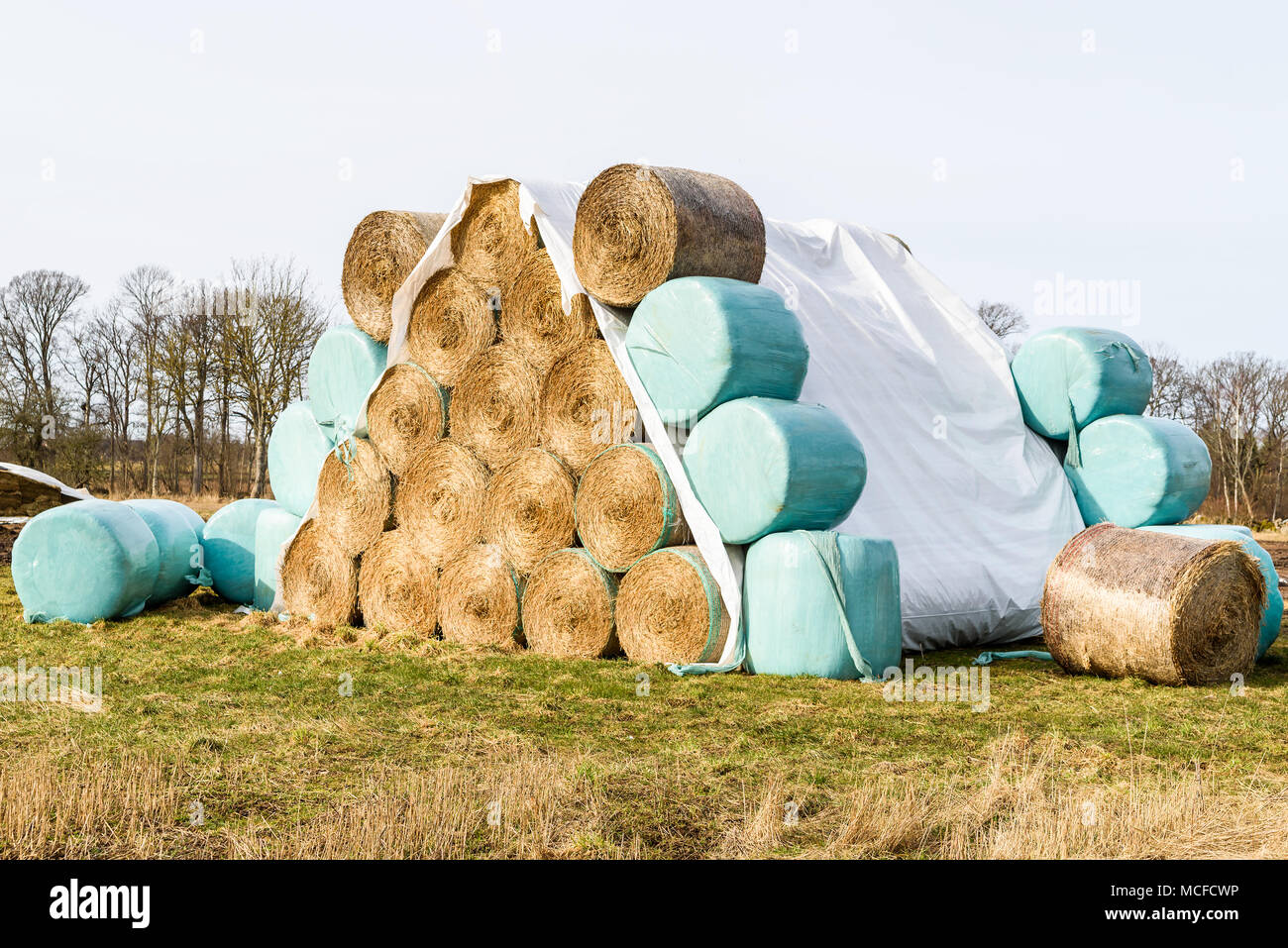 Pyramide Stapel golden Strohballen, mit und ohne Deckel aus Kunststoff. Stockfoto