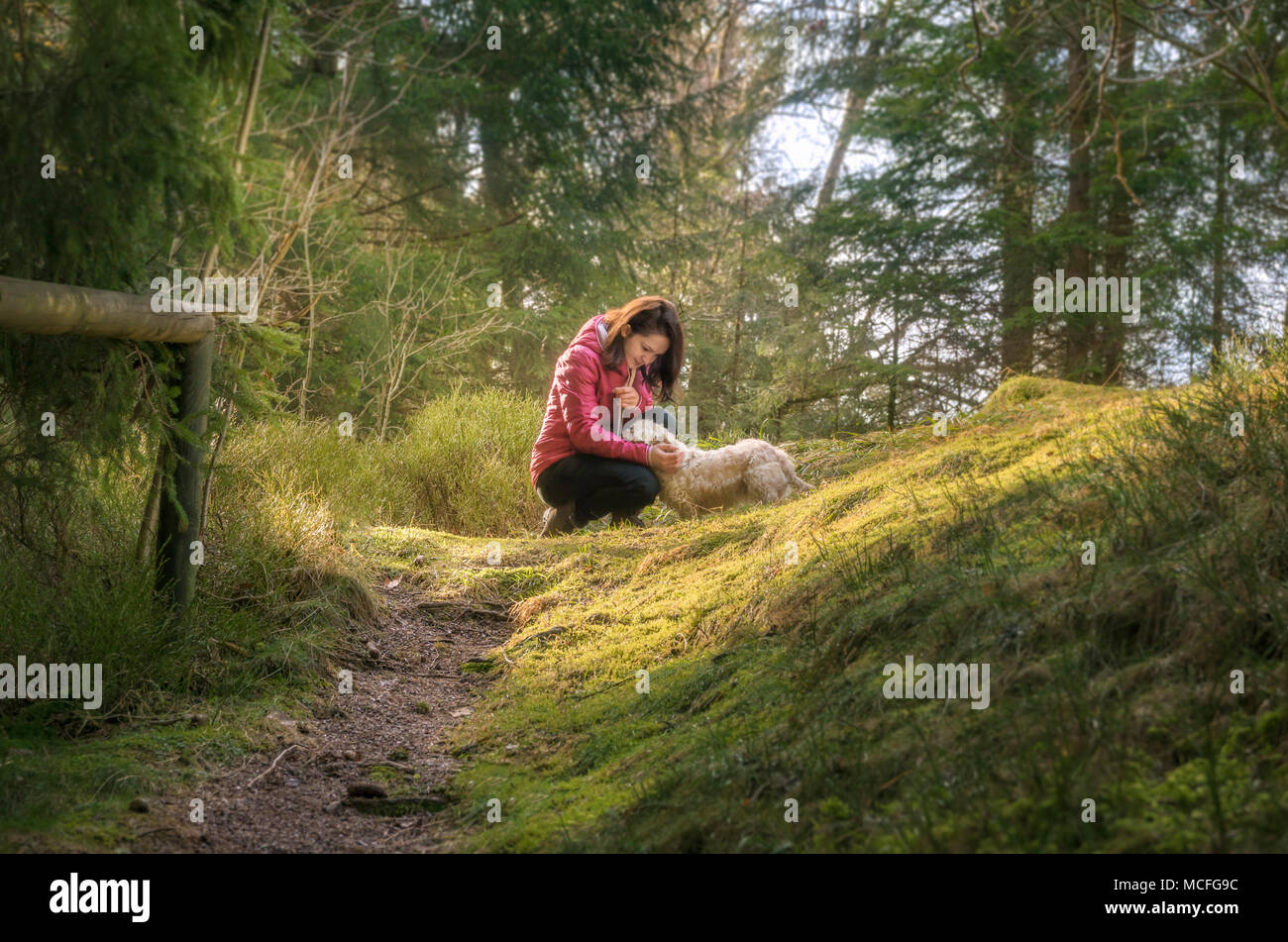 Schöne brünette Frau streicheln Ihren Hund auf einen Weg, in einem Tannenwald, unter Sonneneinstrahlung, in den Schwarzwald, in der Nähe von Seebach Stadt, Deutschland. Stockfoto