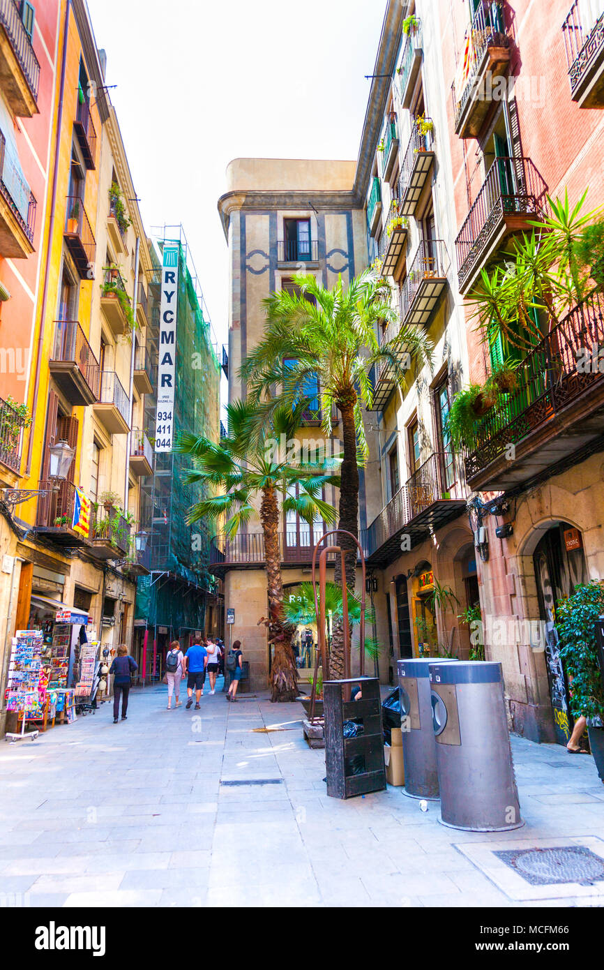 Straße mit Palmen und bunten Häusern im Gotischen Viertel (Barri Gòtic) in Barcelona, Spanien Stockfoto