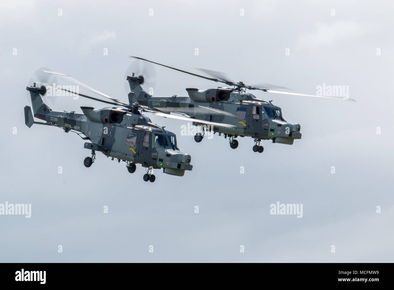 Ein paar AgustaWestland Wildcat HMA Mk2s ab 825 NAS sind derzeit durch die königliche Navys schwarze Katzen Aerobatic Display Team geflogen Stockfoto