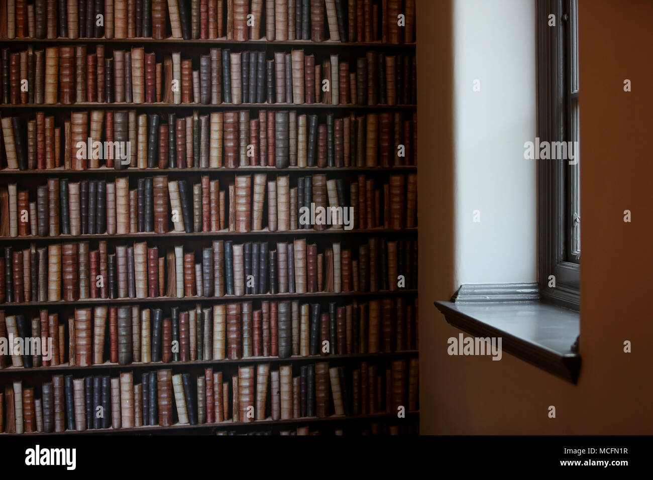 Ein Zimmer mit einer Wand tapeziert mit Büchern in Portsmouth, Hampshire, UK anspruchsvolle zu suchen. Stockfoto