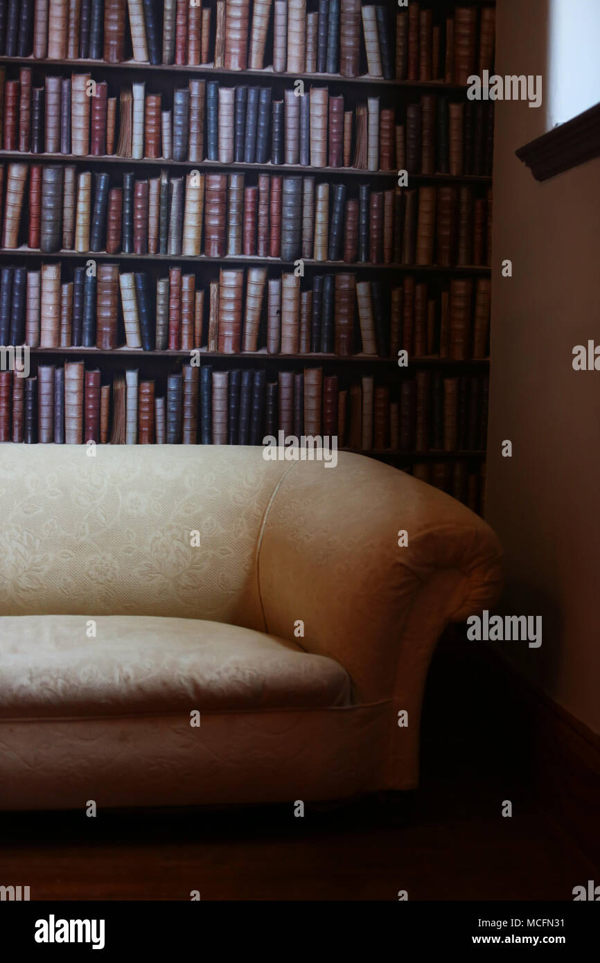 Ein Zimmer mit einer Wand tapeziert mit Büchern in Portsmouth, Hampshire, UK anspruchsvolle zu suchen. Stockfoto
