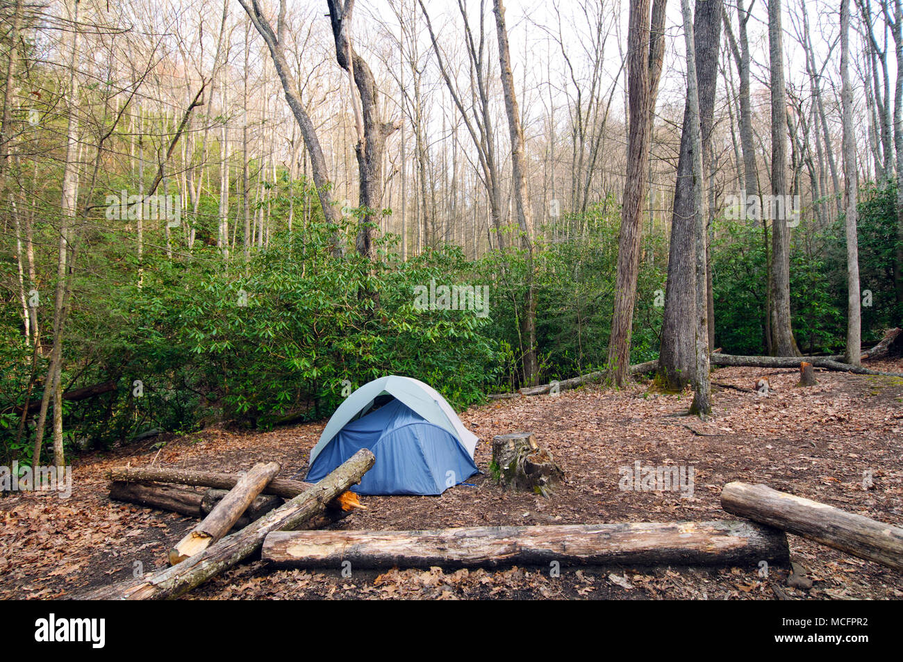 Oberen Wohnungen wilderness Campingplatz in der Great Smoky Mountains Stockfoto