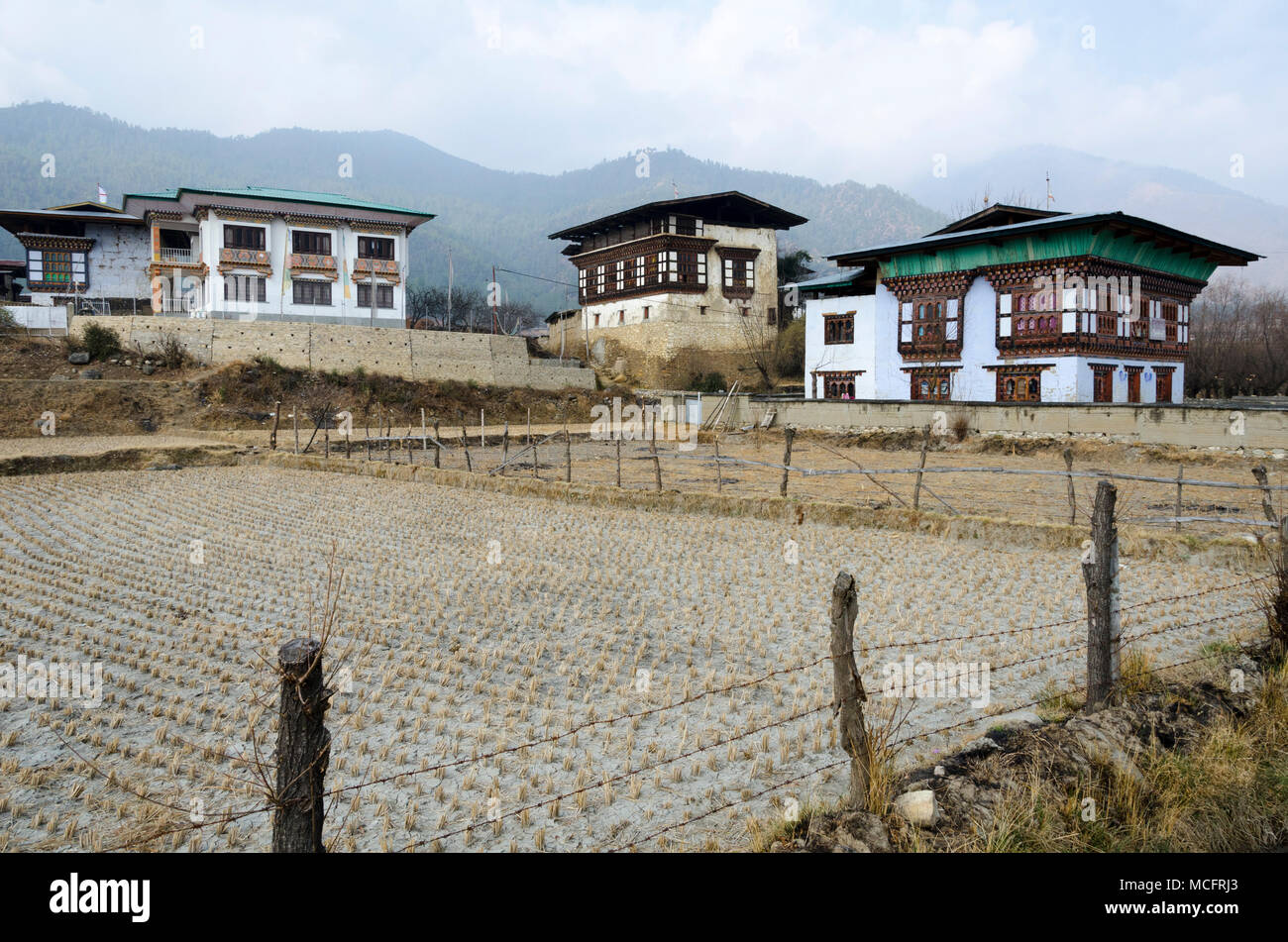 In der Nähe von Reisfeldern, Paro, Bhutan Stockfoto