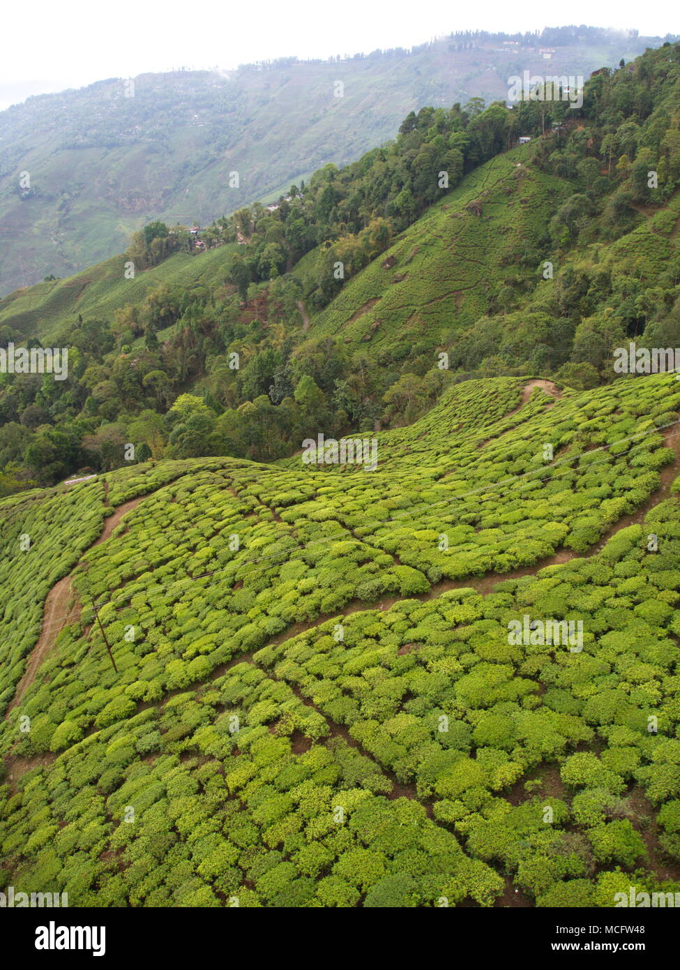 Darjeeling, Indien, 15. APRIL 2011: Luftaufnahme von Seilbahn mit Teeplantagen in Darjeeling, Indien Stockfoto