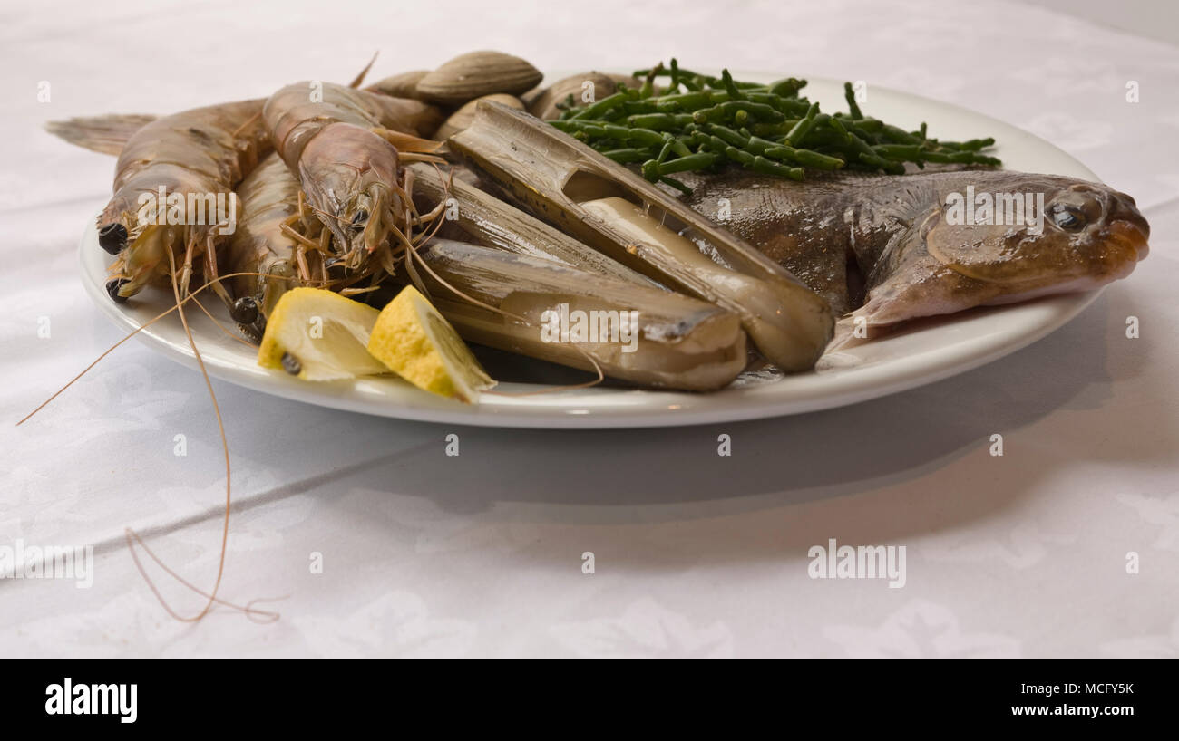 Sea Food Stockfoto
