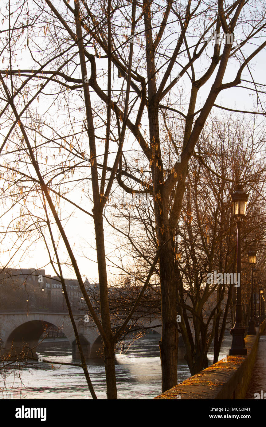 Am frühen Morgen einen Blick auf die Seine und der Pont Marie von der Il St Louis, Paris, Frankreich, Europa Stockfoto