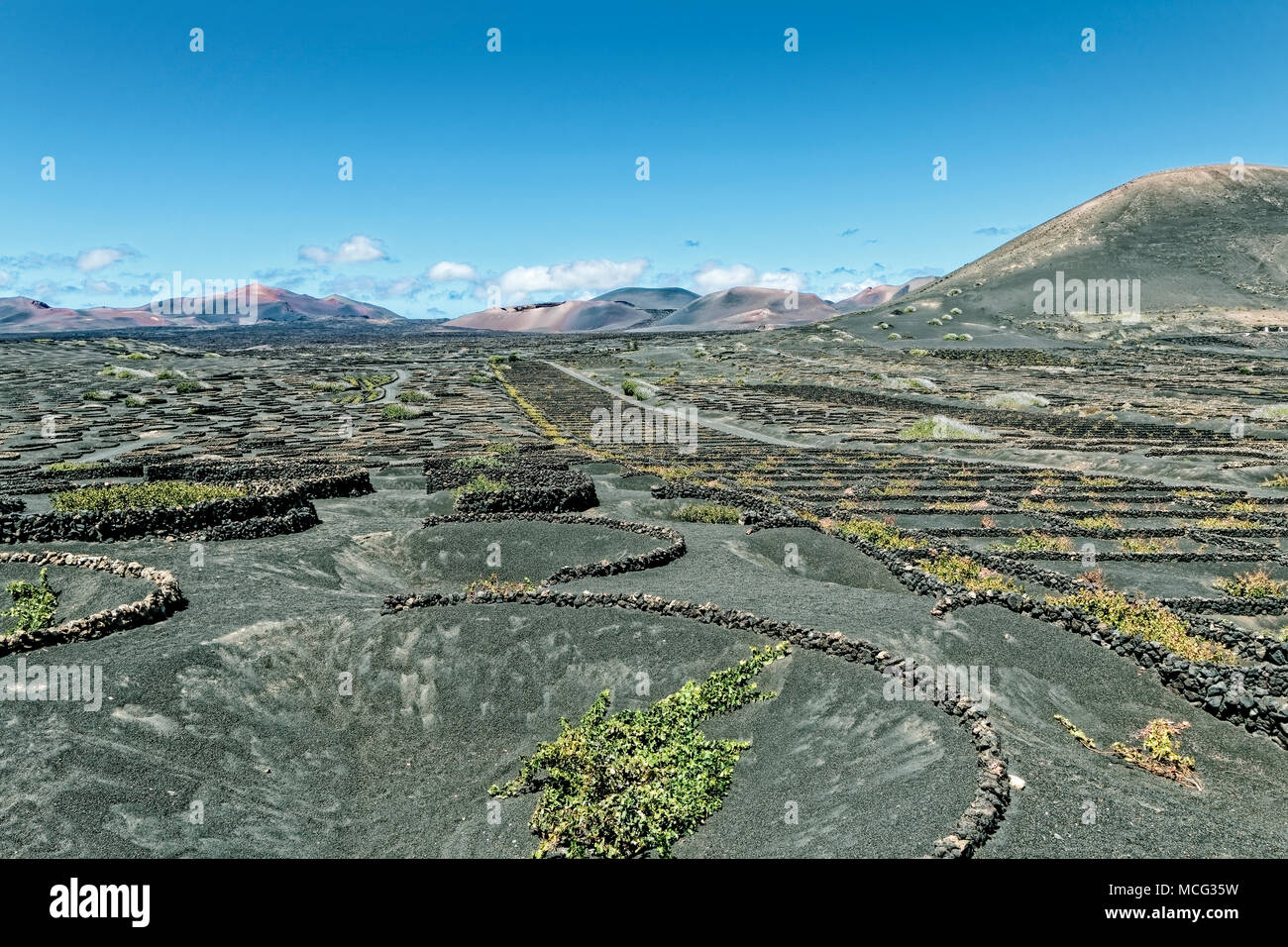 Lanzarote - Weinanbaugebiet La Geria mit Feuer in den Bergen Stockfoto