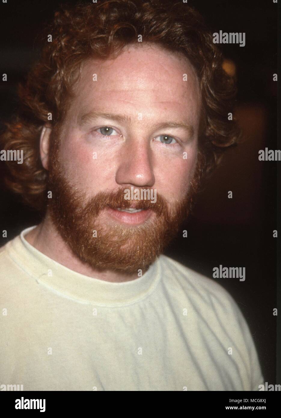 Timothy Busfield 1991 Foto von Adam Schädel/PHOTOlink.net Stockfoto