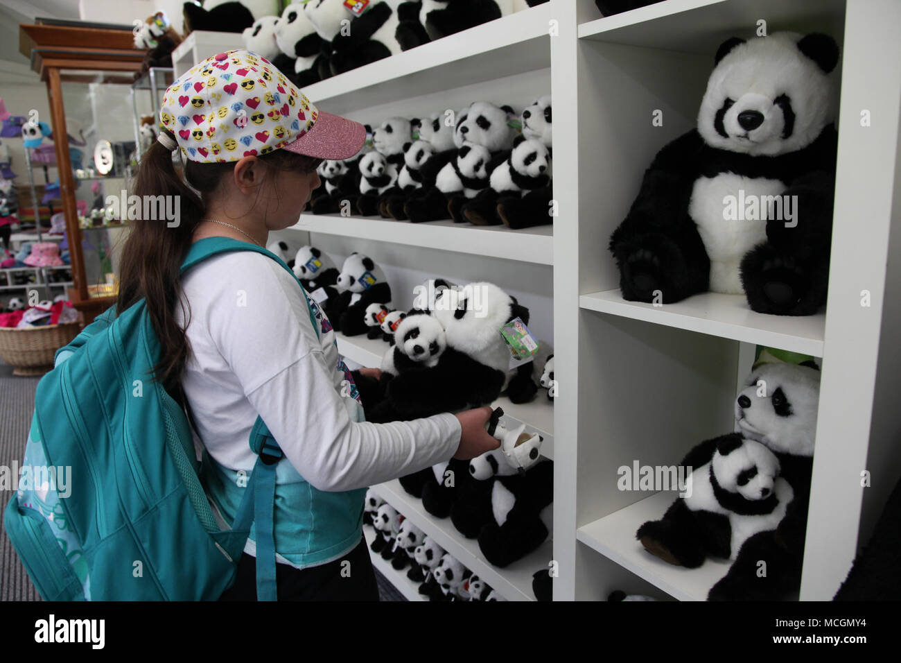 Canberra, Australien. 13 Apr, 2018. Eine junge Besucher Geschäfte im Panda Souvenirshop im Zoo von Adelaide, South Australia, am 13. April 2018. Wangwang und Funi sind die paar Pandas aus China, die in Adelaide Zoo seit 2009. Credit: Xu Haijing/Xinhua/Alamy leben Nachrichten Stockfoto