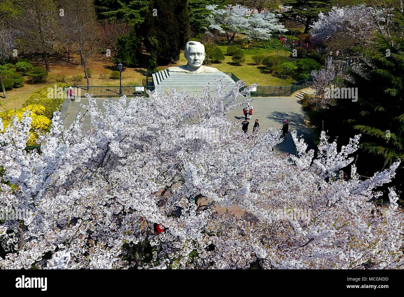 Qingdao. 17 Apr, 2018. Luftaufnahme auf April 17, 2018 zeigt die Ansicht der Zhongshan Park während einer Blume Veranstaltung zur Würdigung in Qingdao, östlich der chinesischen Provinz Shandong. Quelle: Guo Xulei/Xinhua/Alamy leben Nachrichten Stockfoto