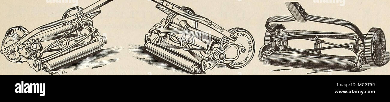 . Pennsylvania Low Rad. Continental Niedrige. Continental und Pennsylvania. Eine niedrige. 10 Zoll $ 5,75 12 6,75 14 7,65 16 8,50 18 9,50 hohe Rad. 15 Zoll $ 11.00 17" 12.25 19" 13.50 21" 15,00 Philadelphia. Philadelphia Mäher. 10 Zoll 5,25 $ 12" 6:00 14 " 6,85 7,75 16" 18" 8,50 Stockfoto