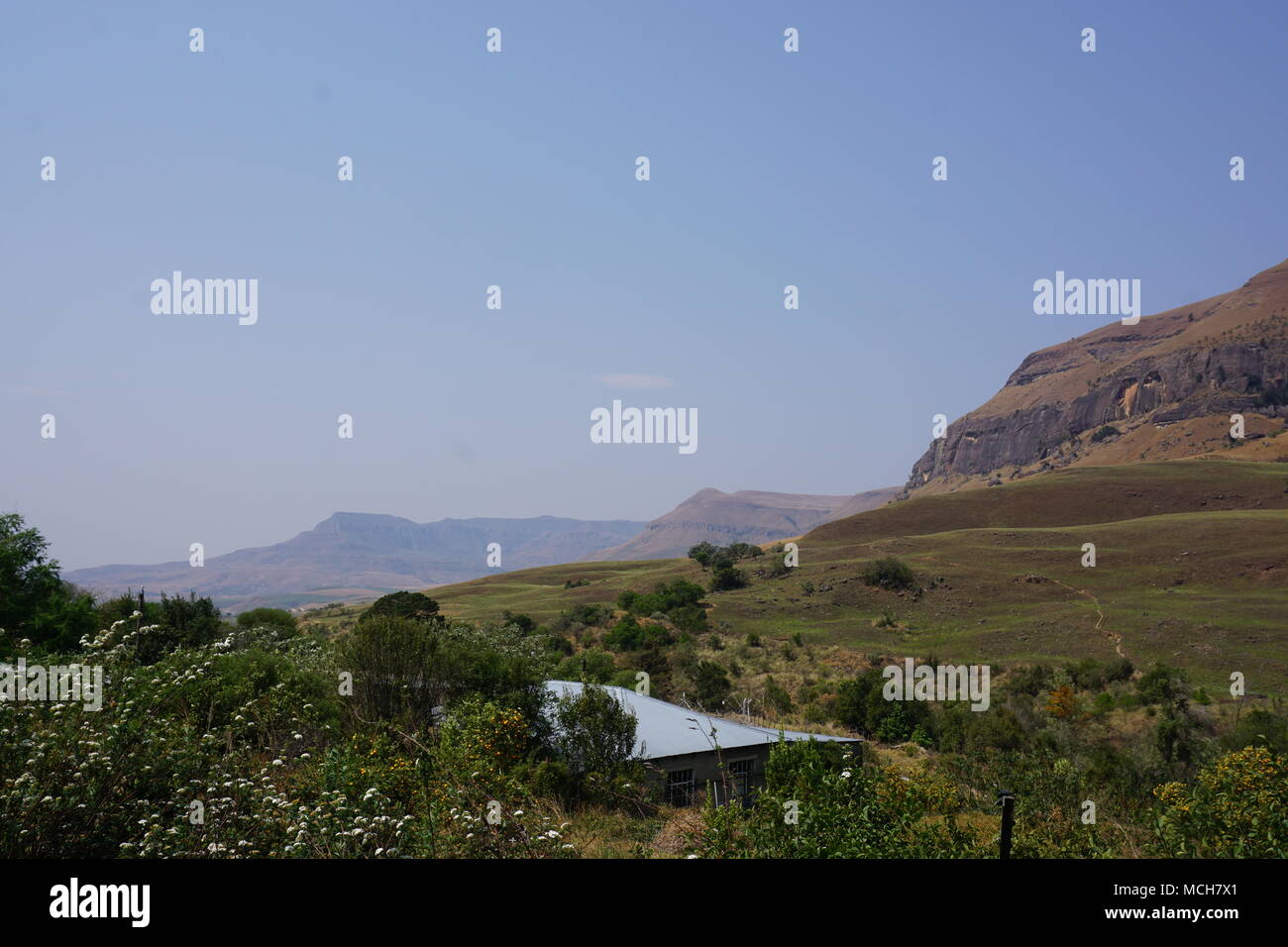 Cathedral Peak Golfplatz, Drakensberge Stockfoto