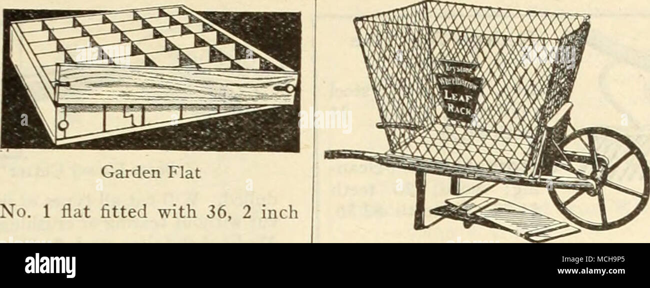 . Garten Wohnung der Abbildung Bilder des Nr. 1 flach mit 36, 2 Zoll Square, Kraftpapier board Töpfe. Nr. 1 Garten Wohnung mit 36, 2-Zoll Töpfe jeweils 90 c;J doz. $ 4,00. Kabelgebundene wies Topfpflanze Etiketten. Holz, Spitz, für Topf- und Gartenpflanzen. Größe 100 1000 4 x | SO 30 $ 2 10 4 | X W 35 2 25 5 X f in 40 2 35 6 X I in 45 2 50 Größe 100 1000 8 X I in 0 $ 75 $ 5 50 10 x W 65 5 00 10 X J in 85 6 50 12 X U in 1 35 10 00 n'ired. Holz, 3 j x w Zoll, für Bäume, Sträucher, Dahlien und ähnlichen Pflanzen, 40 c/100; $ 2,75 pro 1000. Hinweis://Labels sind Paketversandfähige Sachen werden Ioc pro loo und jjc pro Loo hinzufügen Stockfoto