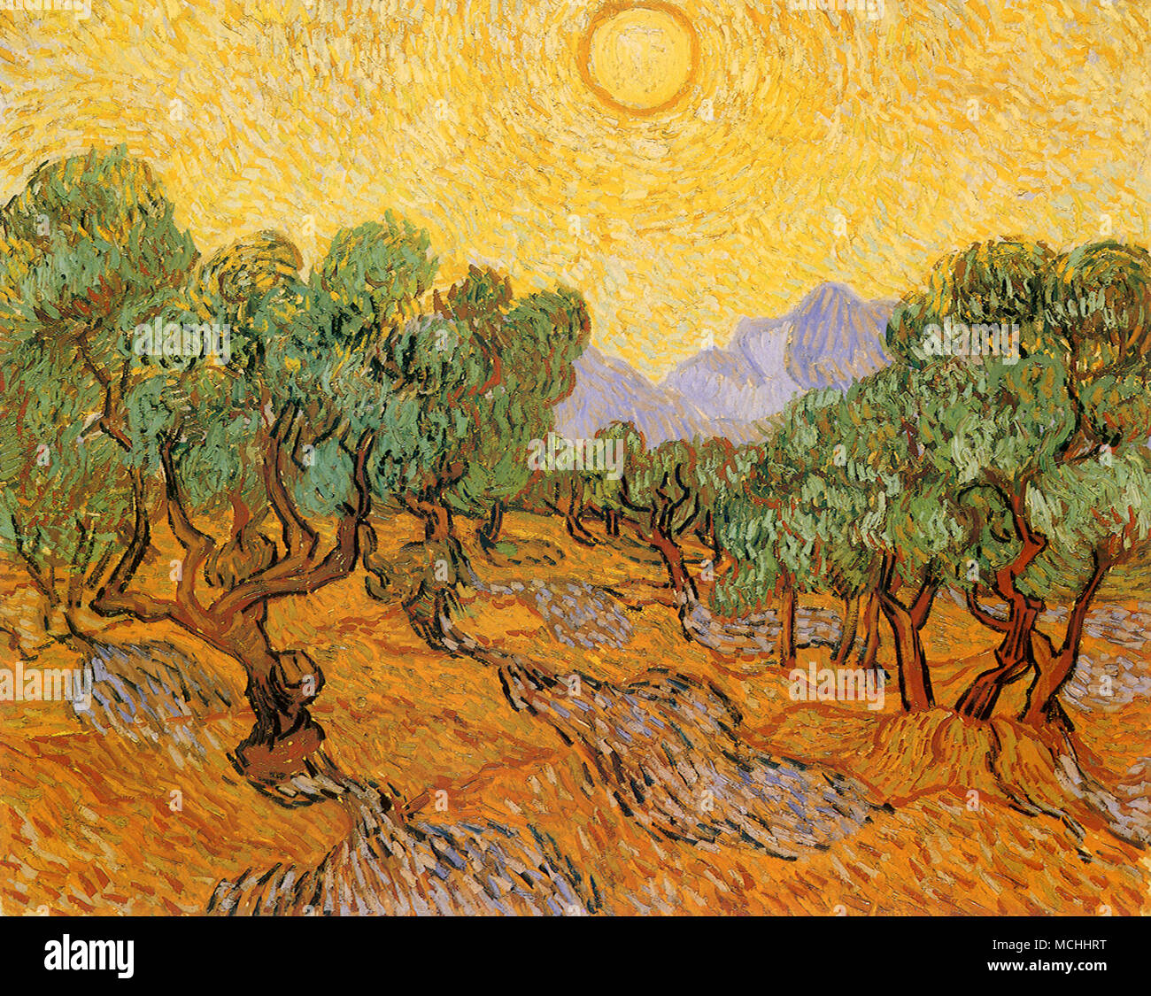 Olivenbume mit gelber himmel sonne -Fotos und -Bildmaterial in hoher  Auflsung  Alamy