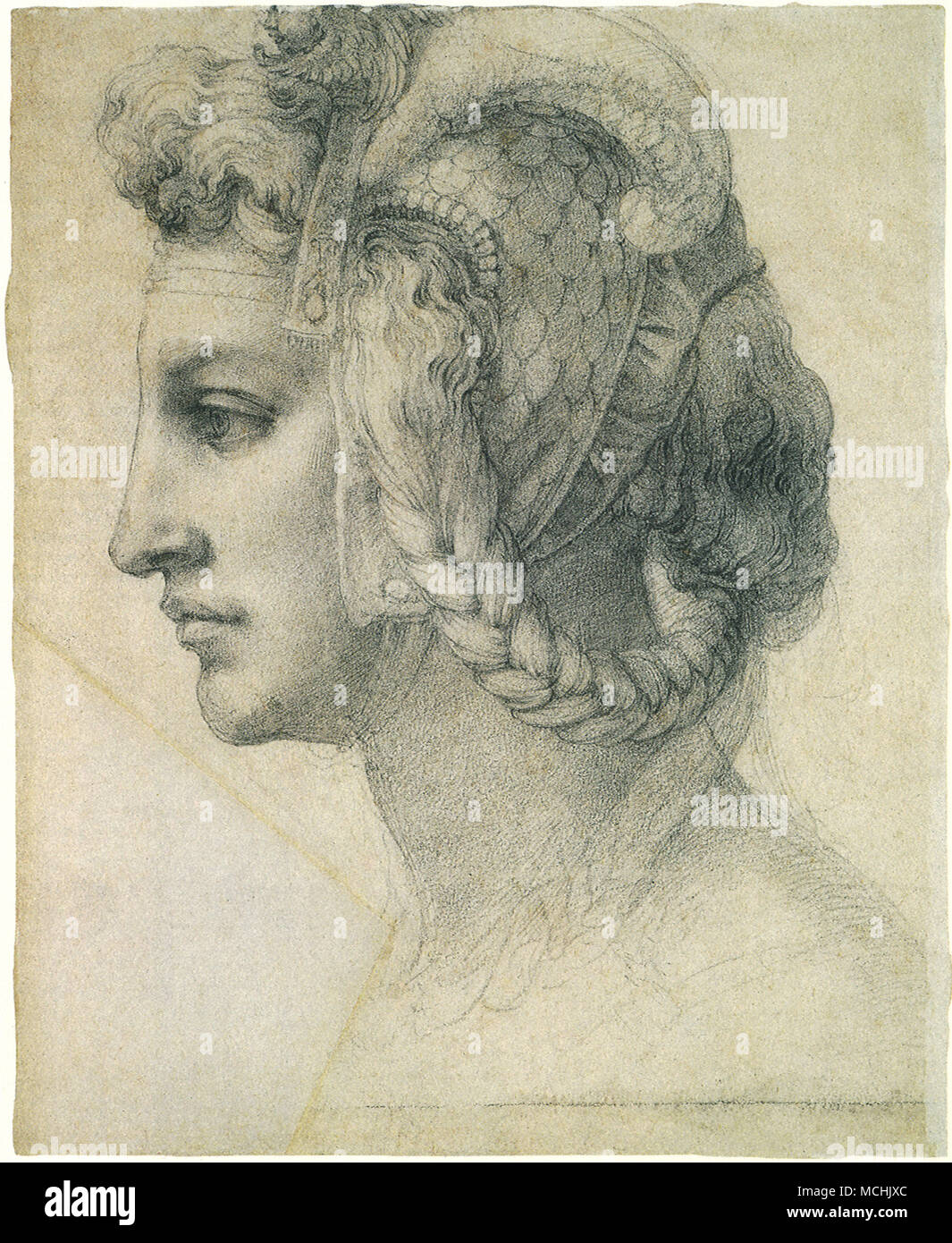 Ideal Kopf einer Frau Stockfoto