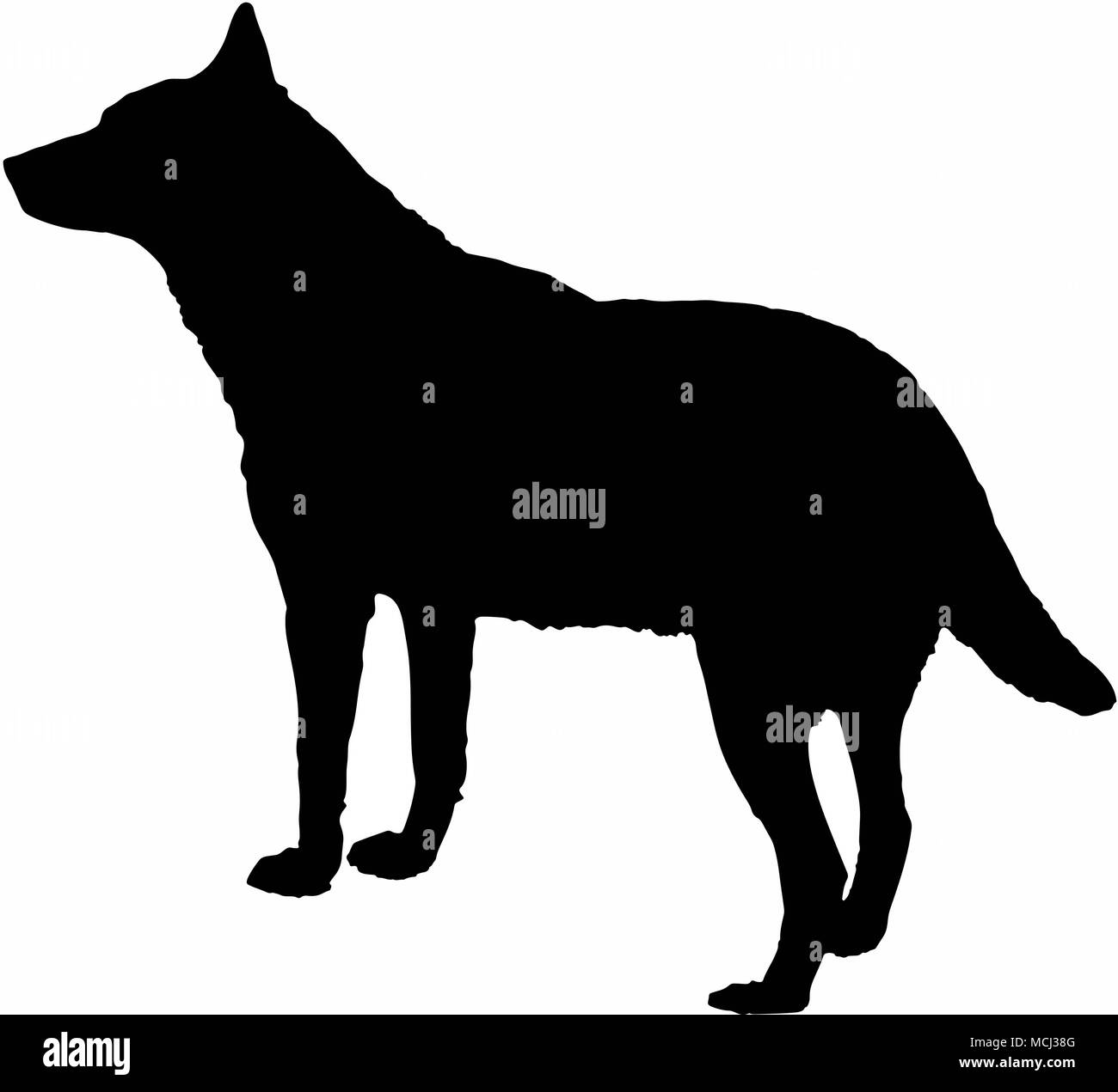 Hund Wolf schwarze Silhouette isolieren auf weißem Hintergrund Vector Illustration. Stock Vektor