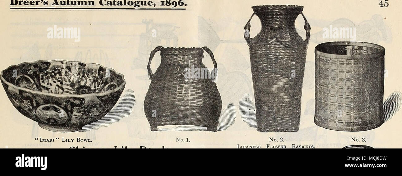 . "Imari" Lily Schüssel. Chinesische Lily Schalen. Die chinesische Heilige Lilie oder Narzissen, illustriert und auf Seite 13 beschrieben. Diese ist gewachsen, Schalen, die von den Himmelsbewohnern; ihre Kultur ist der einfachste, nur notwendig, um die Glühlampe zu platzieren und Surround mit Kieselsteinen Umstürzen von halten. Mit Wasser füllen und in einem kühlen, dunklen Ort für zwei oder drei Wochen verankert zu werden. Sie können dann dem Licht gebracht werden. " IMARI " LILY SCHALEN. Nr. 3. Japanischer Körbe. Feine japanische Ware, sehr Dekor - in Rot, Blau, Grün, Gelb usw., außerordentlich attraktiv. (Siehe Schnitt). 5 Ich habe in. Zu halten 1 bu Stockfoto