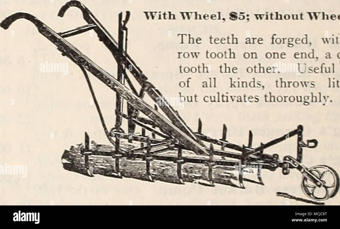 Nr. 12. Mit Pflüge, Grubber hacken, vier Zähne und Blatt Heber, wie in Cut  gezeigt, $ 6.50. Nr. 13. Mit G-Zoll hacken nur, $ 4.25. "PLANET, JR. Nr. 8,  PFERDE, Hacke