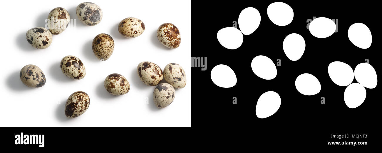 Wachteleier von oben (Ansicht von oben) auf Weiß isoliert. Schatten getrennt, Alphakanal Stockfoto