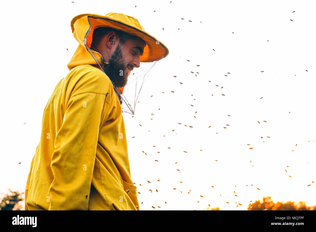 Imker in den Sonnenuntergang mit Bienen um ihn herumschwirren umgeben Stockfoto