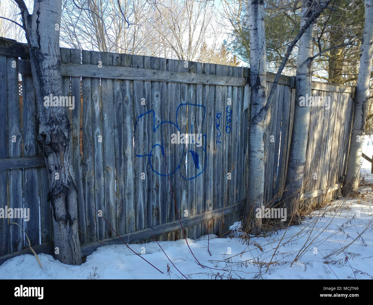 Graffiti sur une cloture en période d'hiver Stockfoto