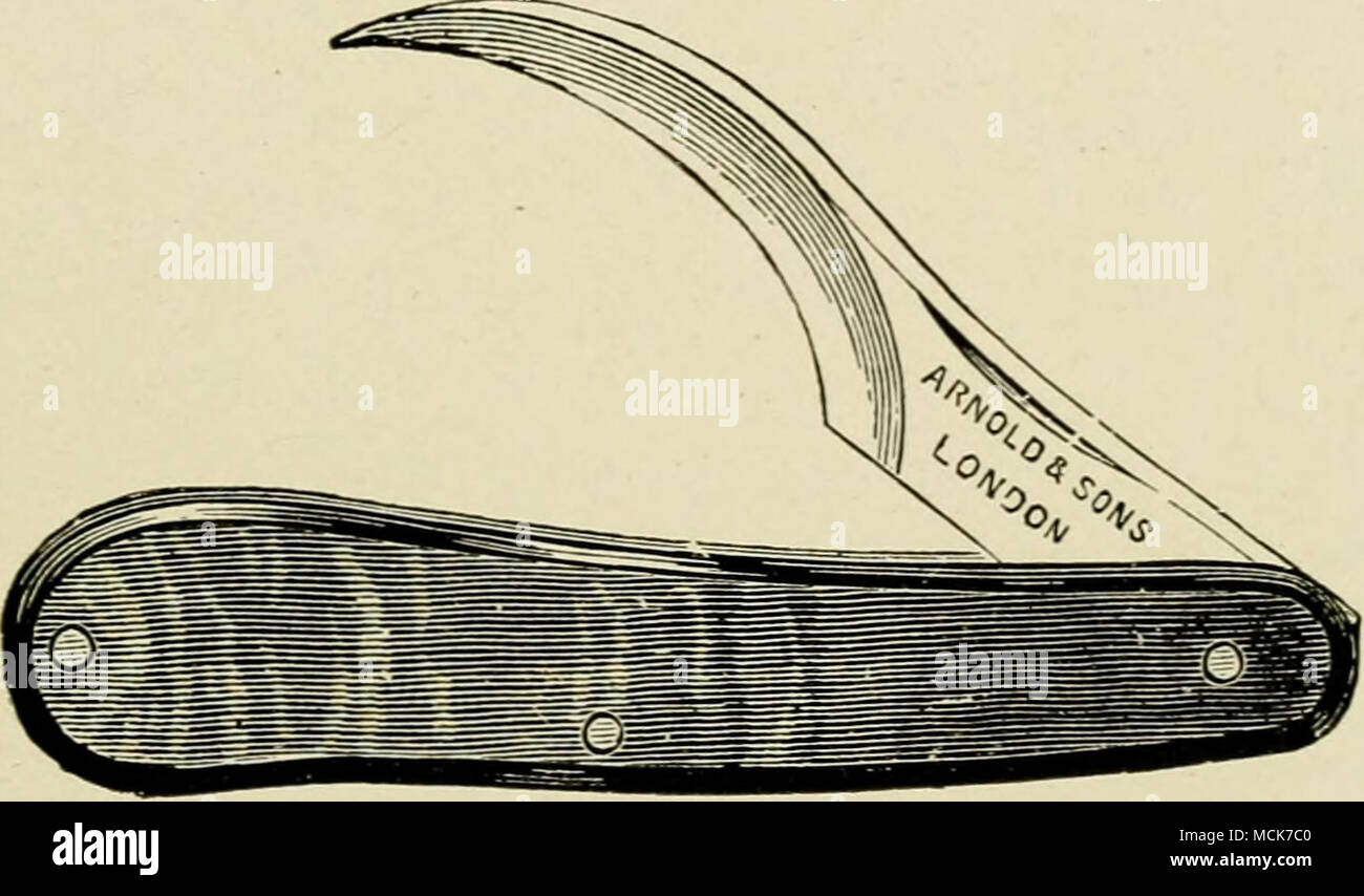 . Abb. 47.- Symen's Abszess - Messer. Übergeben Gerät des gleichen Typs. Die zweischneidige Salbei - Messer ist in der Abbildung dargestellt. 46, C. Es kann auch erwähnt werden, dass der gewöhnliche Symes Abszess - Messer (Abb. 47) ist ein äußerst nützliches Instrument, wenn Sie die Operation durchführen eines teilweisen Ausrottung der seitlichen Knorpel, ihre eigentümliche Form selbst Bewundernswert die Kreditvergabe an die Feinheiten des Arbeitsgangs. Ein oder zwei - gut geformt feuern - Eisen wird auch nützliche gefunden werden. Sie werden die Arbeit der mühsam excavat Aufhellen - ing Nuten mit dem Messer, wo dieses Verfahren ist notwendig; und, in bestimmten Po verwendet Stockfoto