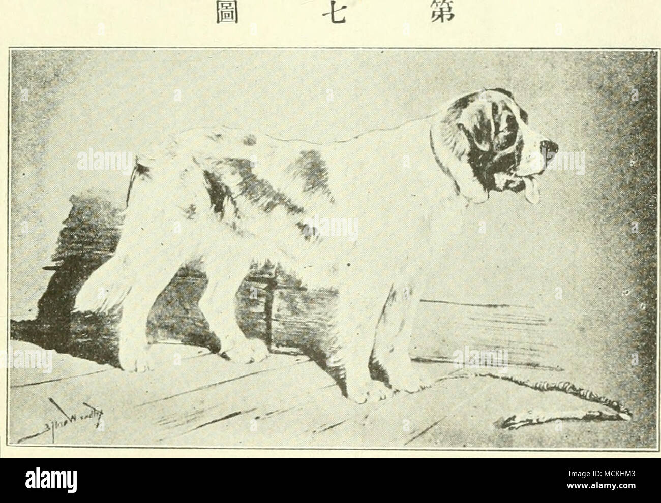 Ac3 Stockfotos Und Bilder Kaufen Alamy