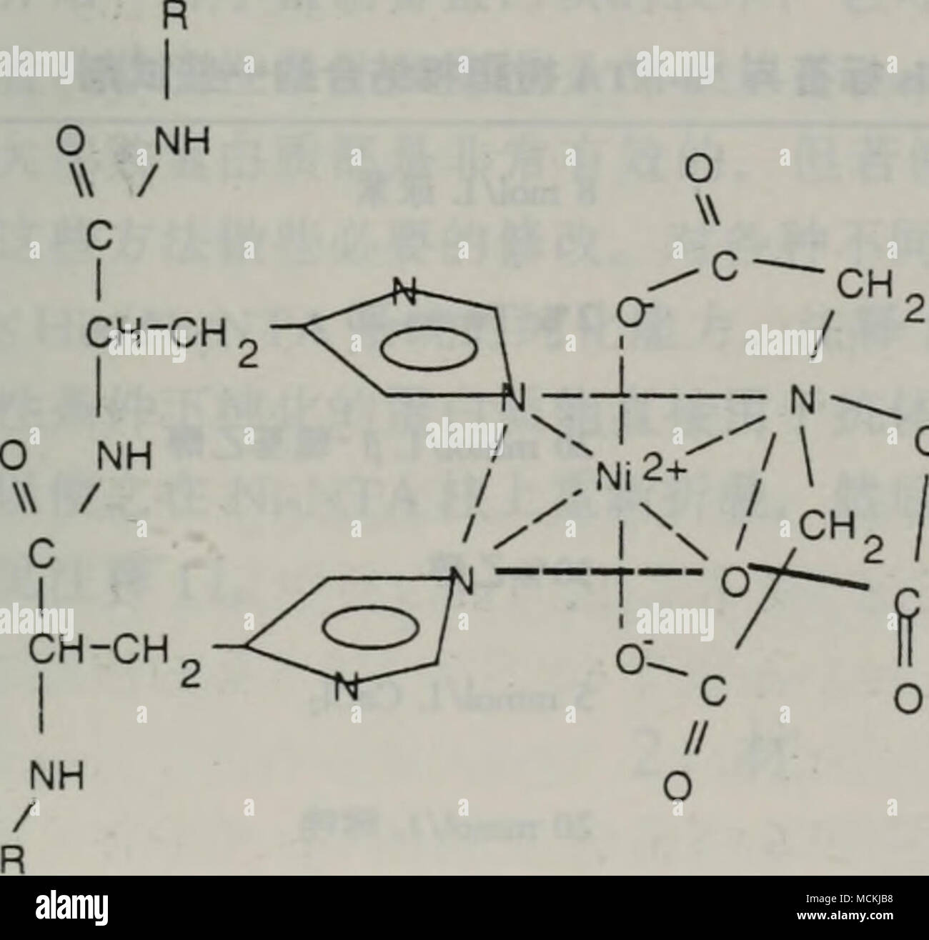 Ch2ch2nh Choh Ch Ch2ch2ch2chfo A Gibt 58 3 C E Chisae Aºa Bin Ntaae Acae Ec C Ac Ntae Aºa Ce A E E Eca Aeµaº Ae Aea A Sepharosecl 6b Ntac Ec I Aec E A A A A Ni Ntaae Eani Ch2ch2nh Choh Ch Ch2ch2ch2chfo A Gibt 58 3 C E Chisae Aºa Bin Ntaae Acae Ec C Ac Ntae Aºa Ce A E E Eca Aeµaº Ae Aea A Sepharosecl 6b Ntac Ec I Aec E A A A A Ni Ntaae Eani