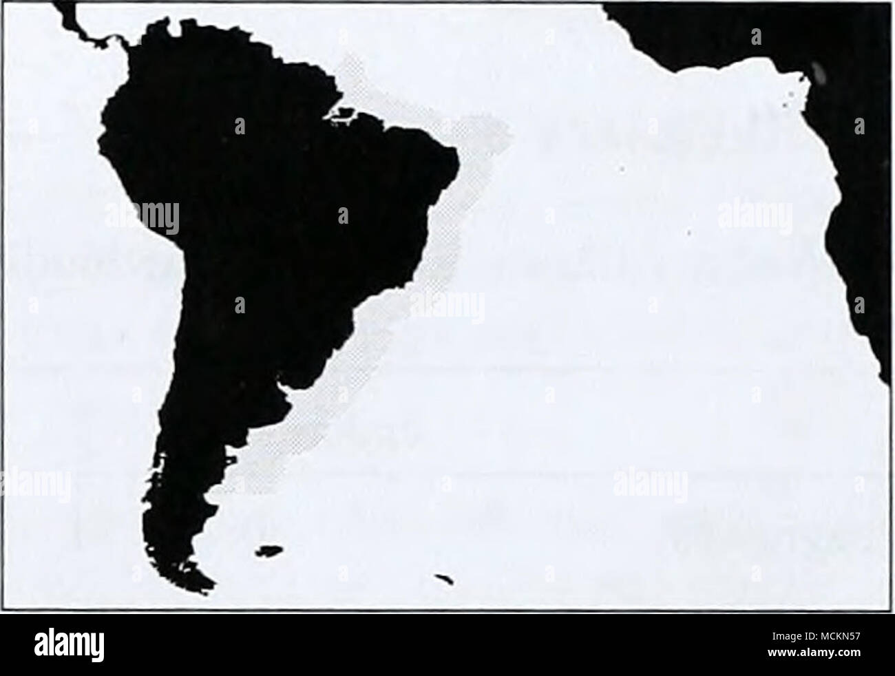 . Brasilien aktuelle Brasilien Aktuelle LME läuft von Recife in Brasilien südwärts bis zur Mündung des Rio de la Plata, in der südlichen Hälfte der brasilianischen Küste und der Atlantischen Küste von Uruguay. Der nördliche Teil dieses LME hat eine sehr schmale steil abfallenden Regal, von 15-75 km breit; im südlichen Teil dieses wird breiter und schonender zu erreichen, 150 km oder so. Die dominierende ozeanographische Feature ist die nach Süden fließende Brasilien Aktuelle, die bei etwa 10°S beginnt und am stärksten ist von der Abrolhos Archipel südlich des Wendekreis des Steinbocks, nach denen es Beco Stockfoto