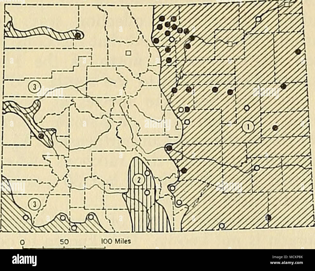 . Abb. 95. Verteilung von Procyon lotor in Colo-Rado. 1. S. I. Hirtus. 2. S. I. mexicanus. 3. S. I. pal-lidas. Eine Erläuterung der Symbole finden Sie auf S. 9. 135, 114; 72, 61; Gewichte, 19 1/2 lbs, -. Ausgewählte kranialen Messungen der oben genannten vier Personen sind, beziehungsweise: condylobasal Länge, 115,7, 113,4, 121,0, 116,3, jochbeinbogen Breite, 75,0, 71,9, 79,0, 70,1; inter-orbital Verengung, 27.3, 23.7, 23.6, 24.0; post-orbital Verengung, 25.0, 22.3, 22.3, 22.3; Mas-Toid Breite, 65,6, 63,5, 66,2, 59,3; Länge der Oberkiefer toothrow, 42.2, 44.3, 46.2, 43.5. Aufzeichnungen von occurren Stockfoto