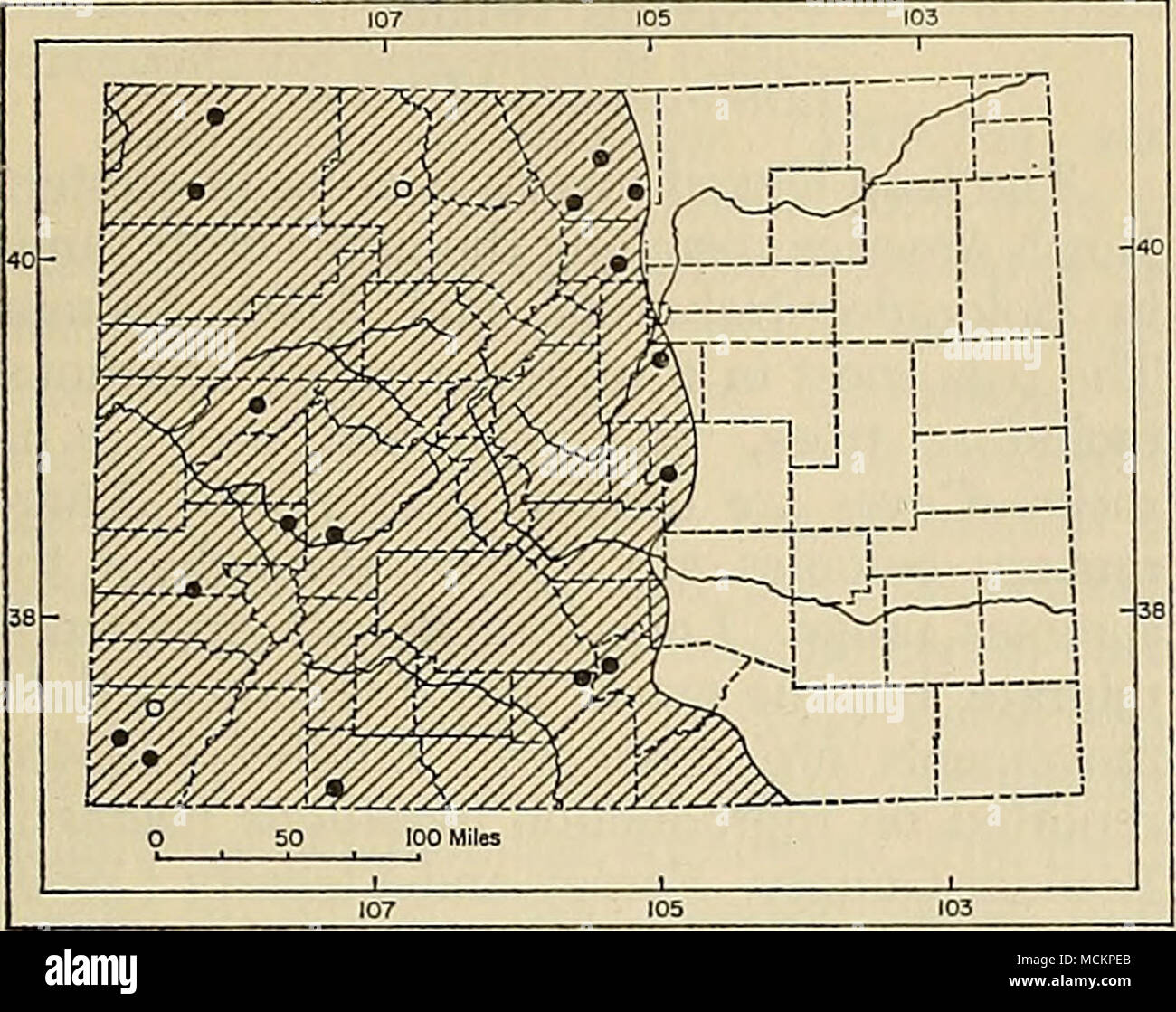 . Abb. 19. Verteilung von Myotis evotis evotis in Colorado. Zur Erläuterung der Symbole, siehe S. 9. Füße, im Rocky Mountain National Park. Wenig bekannt ist der natürlichen Geschichte der Long-eared Myotis. Obwohl bekannt zu migrieren, der Winter ist ungewiss. Für den Vergleich mit dem gesäumt, Myotis Myotis thysanodes, siehe das Konto der betreffenden Art. Myotis evotis evotis (H. Allen) Vespertilio evotis H. Allen, Smithsonian Misc. Slg., 7 (Publ. 165): 48, Juni 1864; Typuslokalität, Monterey, Monterey Co., Kalifornien. Myotis evotis, G. S. Miller, jr., N. Amer. Fauna, 13:77, 16. Oktober 1897. Die DISTR Stockfoto