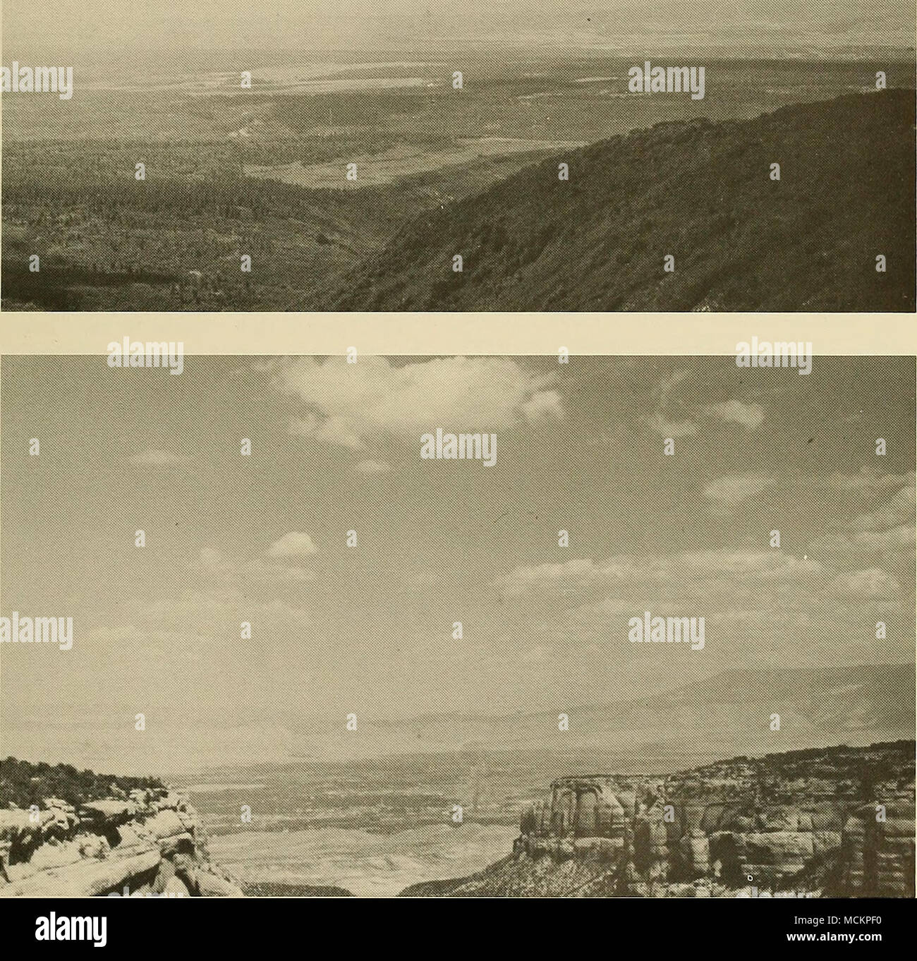 . Platte 7 1. Oakbrush mit verstreuten Koniferen, San Miguel Valley (Ansicht von uncompahgre Plateau über Rot-Vale, in Richtung einsamer Kegel und San Miguel Berge, Montrose und San Miguel Grafschaften, über 8000 ft., August 1969). 2. Semidesert Scrub, Grand Valley, N von Red Canyon Overlook, Colorado National Monument, in Richtung Grand Mesa, rechts, und buchen Sie Klippen, Links, über 5500 ft., Mesa County, August 1969). Stockfoto