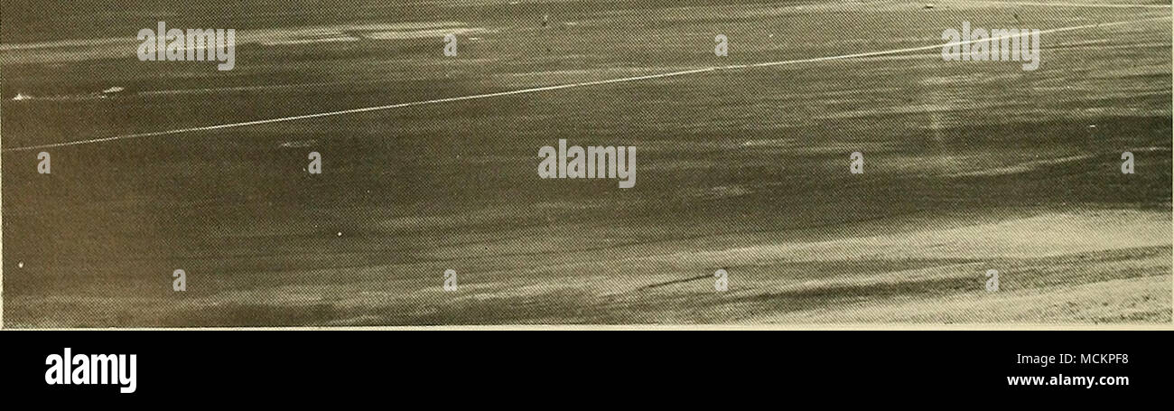 . Platte 4 1. Biber Teich im Bergwald (Elkhorn Creek, 8000 ft., Larimer County, Juni 1968). 2. Berg Grünland, South Park (Ansicht SW von Kenosha Pass in Richtung Sawatch Range, 10.000 ft., Park County, August 1970). Stockfoto